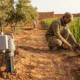 Comment Réduire Consommation Eau Agriculture