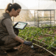 Capteurs IoT Ferme