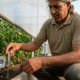 Capteurs Sol Agricoles Maroc