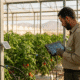 Monitoring Exploitation Agricole