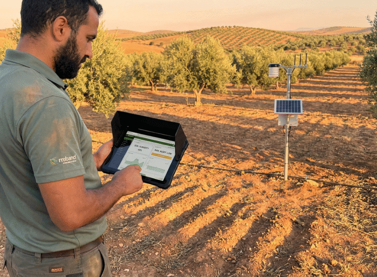 Monitoring Verger Maroc