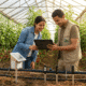 Startup Agritech Afrique
